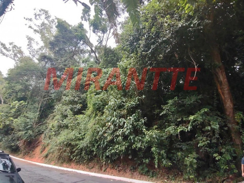 Imagem 5 de 6 de Terreno Em Vila Albertina - São Paulo, Sp - 369226