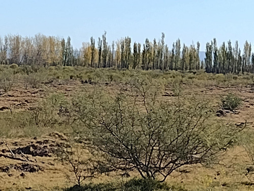 Vendo Finca Ideal Feedlot
