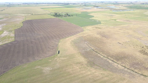 Imagen 5 de 8 de Campo En Venta En F. Madero - Agricola /ganadero