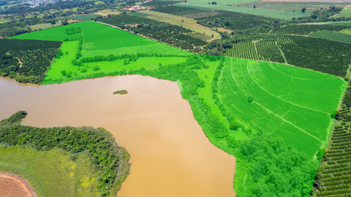 Sítio Amplo E Com Acesso A Represa Em Limeira -sp (jaguari)
