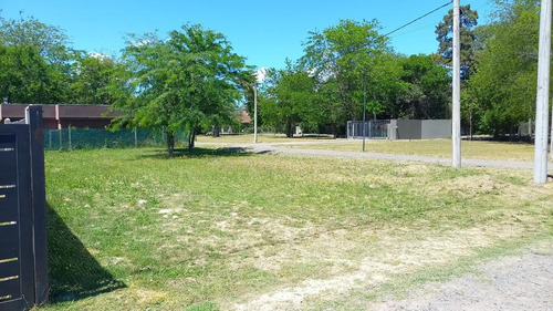 Imagen 4 de 7 de Terreno En Venta - 446mts2 - Villa Elisa