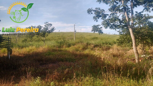 Imagem 11 de 15 de Fazenda À Venda Em Santa Tereza Do Tocantins-to-de 166 Alqueirões(pecuária) - 1692