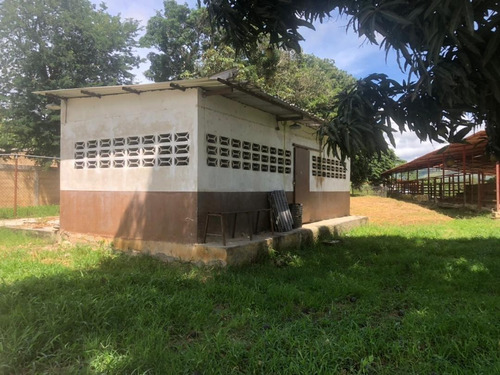 Imagen 11 de 19 de Vendo Granja Avícola Bejuma Dt