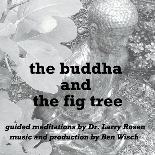 Rosen Larry Buddha & Fig Tree Usa Import Cd Nuevo