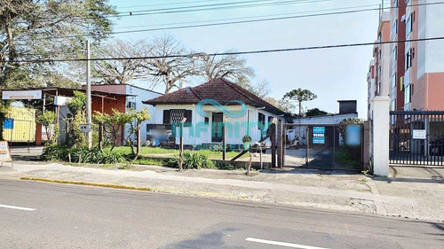 Imagem 2 de 4 de Terreno, Passo Das Pedras, Gravataí - R$ 3 Mi, Cod: 1271 - V1271