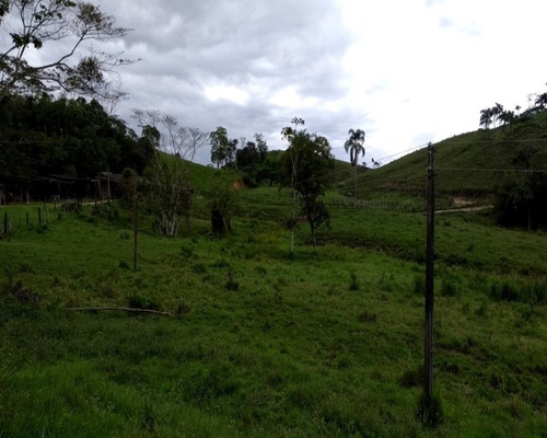 Fazenda - 0260 - 32820388