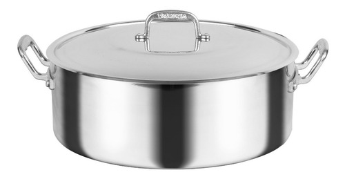Imagen 1 de 8 de Budinera Profesional Acorazada De 38 Cm. Vasconia Pro