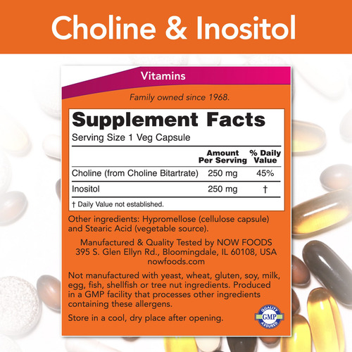 Now, Choline & Inositol 500 Mg, 100 Veg Capsules