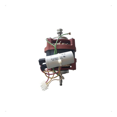 Motor Secadora Brastemp Bsi10 Bsr10 Bsr24 220v W10529145