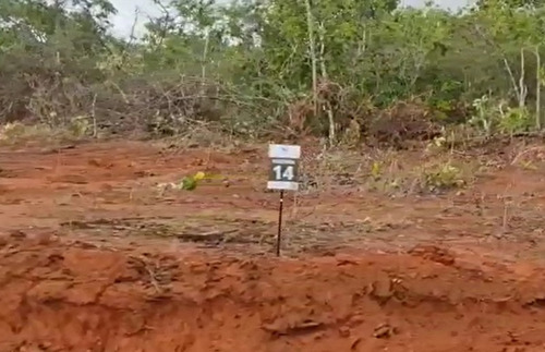 Imagem 14 de 30 de Conheça Fazendas Recanto Da Jaguara! Fazendinhas De 20.000,00 M2 De Terra Boa E Ótima Topografia, Em Jaboticatubas, A 10 Minutos De Lagoa Santa Mg. - Oci0129 - 70337536