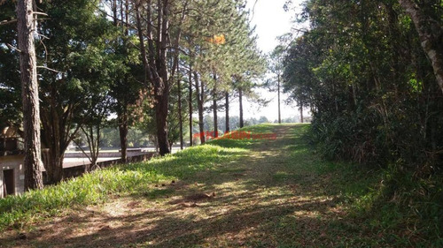 Terreno À Venda, 100000 M² Por R$ 550.000,00 - Colônia (zona Sul) - São Paulo/sp - Te0123