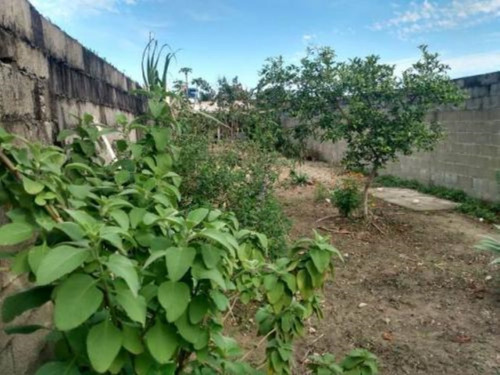 Imagem 11 de 13 de Casa Na Praia À 1.000 Metros Do Mar, No Bairro Cibratel 2, Em Itanhaém, Com 210 M² De Área Total
