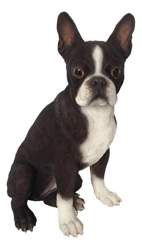 Todo Boston Terrier Perro Estatua Linea