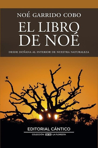 El Libro De Noe, De Garrido Cobo, Noe. 406, Vol. 1. Editorial Ediciones Cantico, Tapa Blanda, Edición 1 En Castellano, 2025