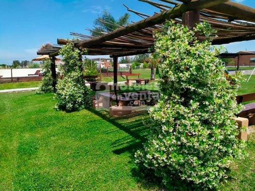 Complejo De Cabañas En Venta En Cañuelas - Buenos Aires - Ar-ba36-1