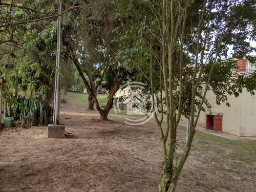 Imagem 10 de 17 de Chácara À Venda, 5000 M² Por R$ 800.000,00 - Floresta Escura - São Pedro/sp - Ch0038
