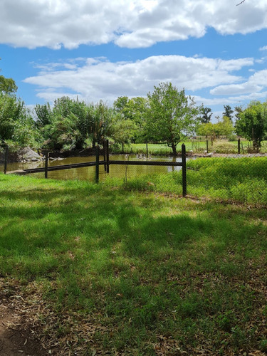 Lote En Venta Club De Campo San Antonio-financiado-preventa