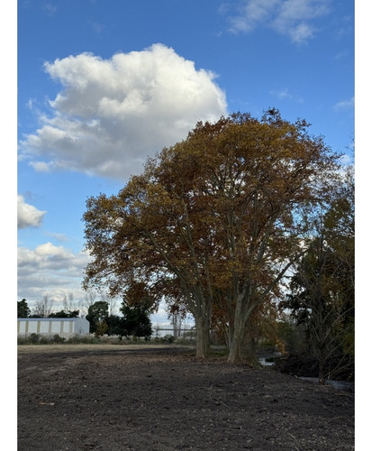 Lote Industrial De 5000 M2 En Zona Oeste A Metros De La Ruta 5, Ruta 7 Y Ruta 6