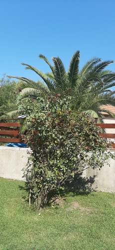 Venta O Consecion - Complejo De 4 Cabañas, 1 Casa, Piscina