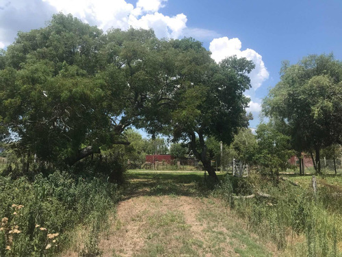 Imagen 3 de 7 de Remax Vende Terreno Y Quincho A Reciclar Santa Fe