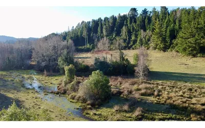 Terreno en venta