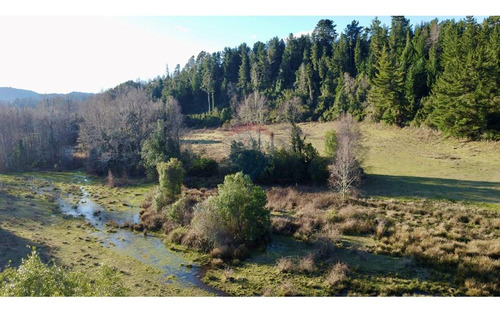Field In Cunco Of 21.27 Ha. Incredible Opportunity