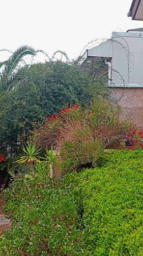 Casa Gran Ubicación Conectividad Alto Macul