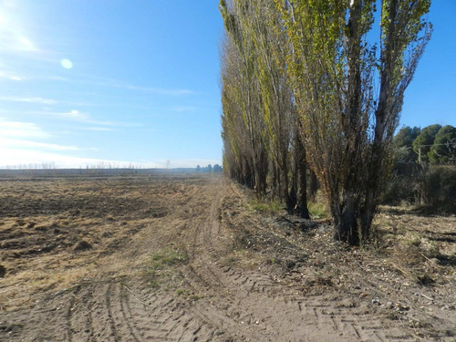 Imagen 13 de 14 de Chacra De 25 Hectáreas En 25 De Mayo - La Pampa