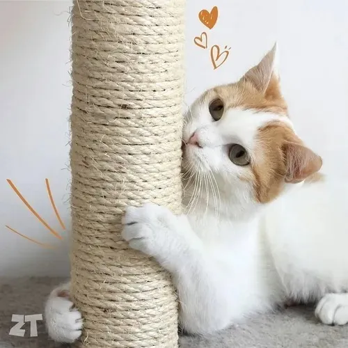 Rascador Para Gatos De Sisal Con Base Y Colgante Zootec
