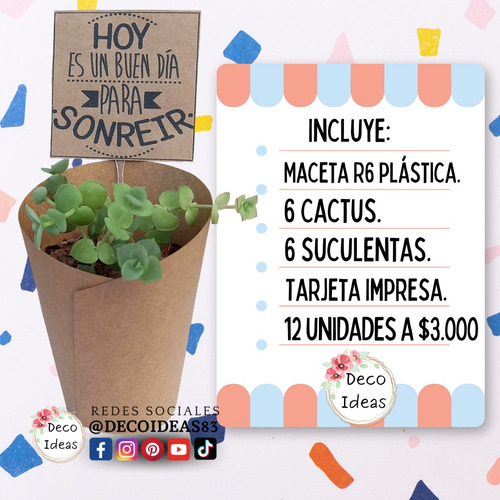 Souvenirs Cactus Y Suculentas X 12 Unidades