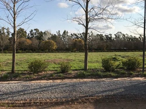 Imagen 6 de 7 de Lote | Ruta Nacional Nº 8