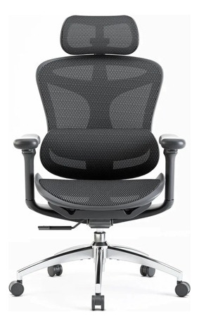 Cadeira Ergonômica Para Escritório Sihoo Doro C100