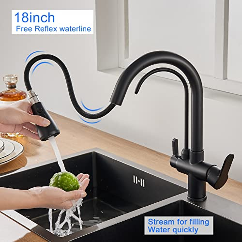 Grifo Cocina 3 En 1 Tsibomu Con Grifo De Agua Potable