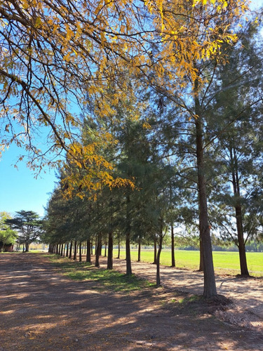 Lotes - Terreno En Venta - Barrio Abierto - Las Merceditas