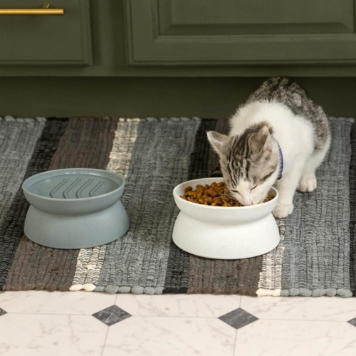 Kitty City Recipiente Para Comida Para Gatos, Alimentador