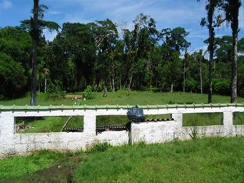 Imagem 12 de 20 de Rural - Venda - Praiamar - Itanhaem - Ita1204