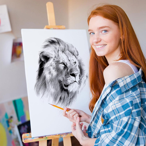 10 Bastidor Para Pintar De Lienzo Y 11 Pinceles Oleo