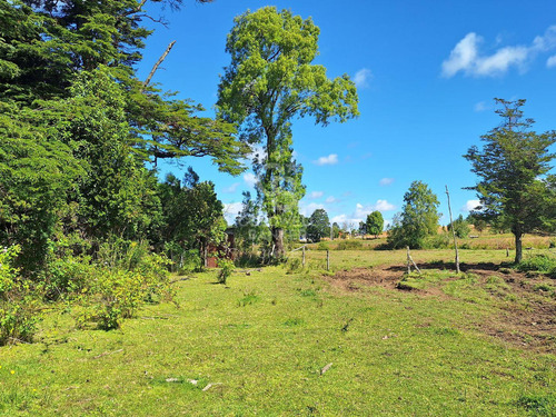 Campo Con Casa En Fresia, Excelente Inversión