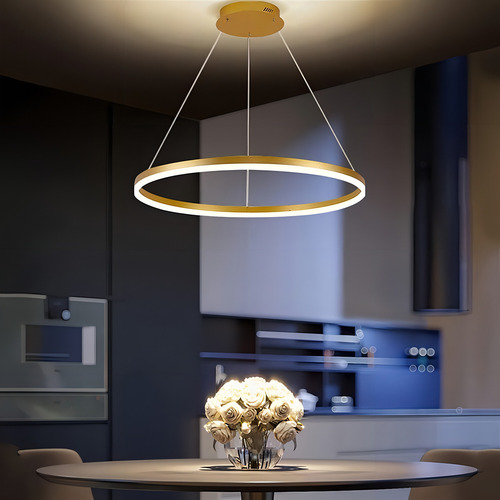 Lustre Pendente De Led Moderno Fomarto Anéis De 60 Cm 110v/220v