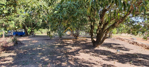 Imagem 8 de 8 de Terreno - Te00368 - 69583420