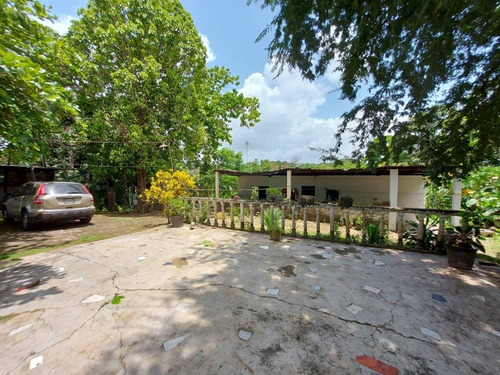 Imagen 7 de 12 de Se Vende Casas De Campo 2806m² 5h4b6p En Barlovento