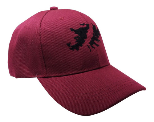 Imagen 2 de 4 de Gorra Islas Malvinas Cap Bordadas Tacticas Con Copa Tipo F1
