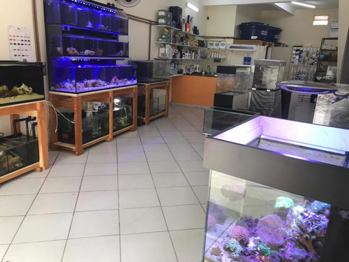 Aquário Cubo 50x50x50 Marinho Ou Doce C/ Sump + Móvel Preto