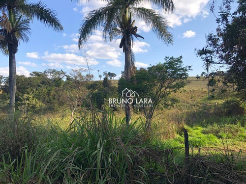 Imagem 18 de 18 de Sítio À Venda Bairro Canarinho - Igarapé/mg - Si0104