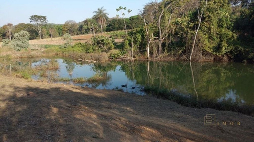 Imagem 30 de 30 de Chacara Com 2 Alqueire - Casa Com Laje, Barragem Chacaras Brito, Luziania - Meuimo562 - 71128673