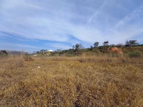 Imagem 11 de 12 de Área Ind Km 54 18.000m2 Próximo A Gerdau E Outlet Catarina
