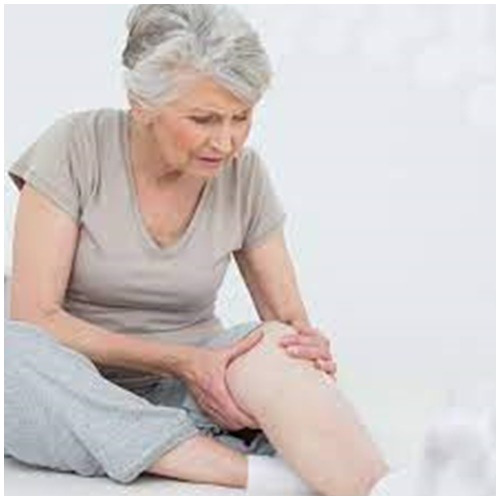 Glucosamine, Chondroitin, Msm Plus Hyaluronic, 120 Caps Sabor Sem Sabor