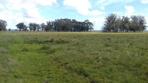Campo En Venta En Rocha 20ha (ref: Atm-5568)