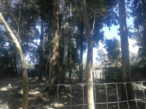 Terreno Venta Urgente Oportunidad!! Jaureguiberry Uruguay !!