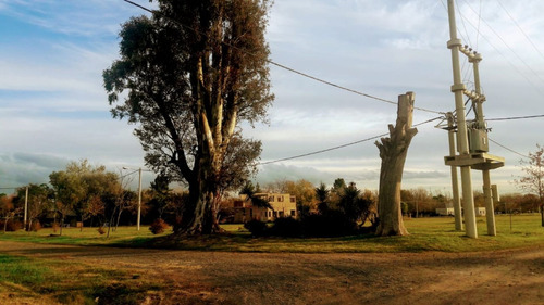Imagen 5 de 5 de Importante Terreno,las Casuarinas-ibarluce